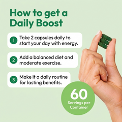 ACV Fat Burner Capsules – Garcinia Cambogia & Green Tea Extract | Weight Management Supplement, 60 Caps